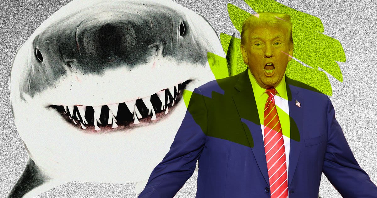 The Time Stormy Daniels Exposed Trump’s Shark Phobia