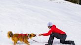 Avalanche Rescue Dogs Receive $50k+ in Grants