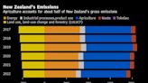 Emissions-Heavy Agriculture Wins Climate Reprieve in New Zealand