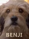 Benji (2018 film)