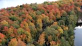 Drought, rain and wildfires delaying fall foliage in parts of the US