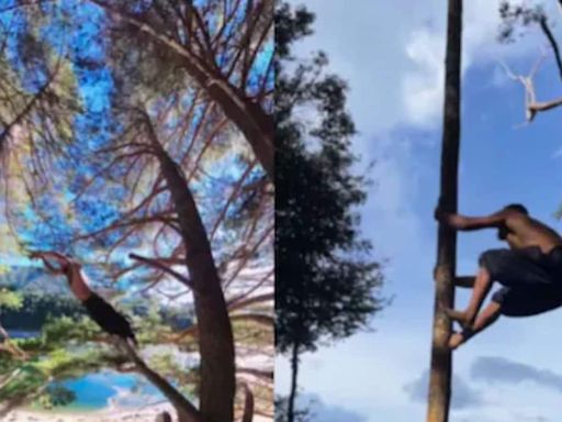 Watch: Man Jumps From One Tree To Another - News18
