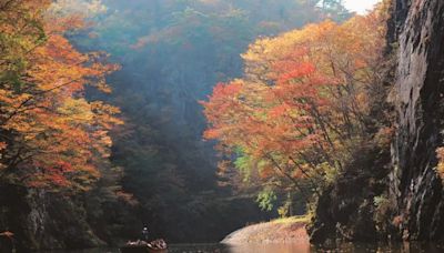 好想要追「楓」！旅天下提供日韓賞楓秘笈