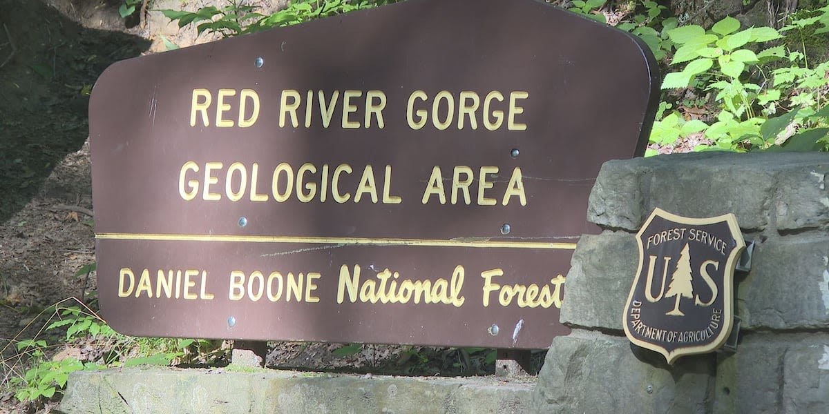 Daniel Boone National Forest may begin charging fees to use Red River Gorge trails, increase camping prices