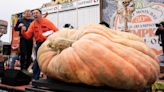 This year's heaviest pumpkin could be baked into 700 pies