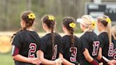 Jackson area high school softball region tournament schedules, scores