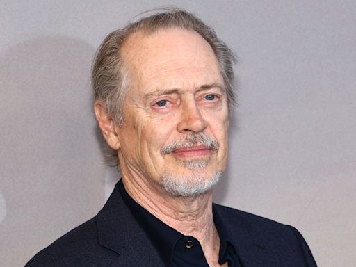 Steve Buscemi punched while walking street in New York City