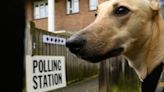 Election 2024: Polling station dos and don’ts – from dogs to selfies