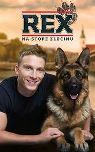 Rex (Slovak TV series)