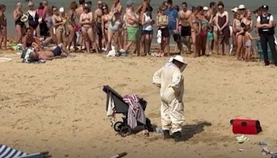 Alarma en la playa de la Concha de San Sebastián: un enjambre de abejas invade un carrito de bebé