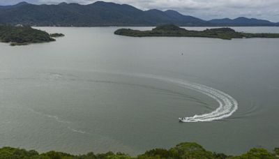 Projeto Caminhos do Mar aposta no turismo de observação como estratégia para a conservação de espécies ameaçadas - Uai Turismo