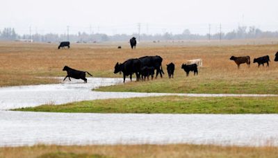 US lawmakers seek to pay livestock farmers to use climate-friendlier practices