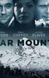 Sugar Mountain (film)