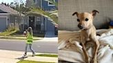Police: Woman wearing ‘inspector vest’ takes dog from Daytona Beach neighborhood