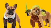 Your Pet Can Be Anyone They Want This Halloween, From Maverick to Winifred Sanderson