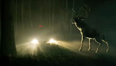 Upcoming Bambi Horror Film Director Compares Movie to Classics Like Godzilla in Bold Statement