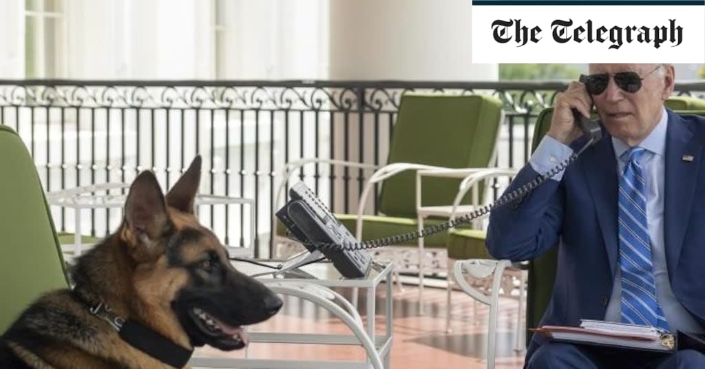 Kristi Noem suggests Biden’s dog should have been killed too