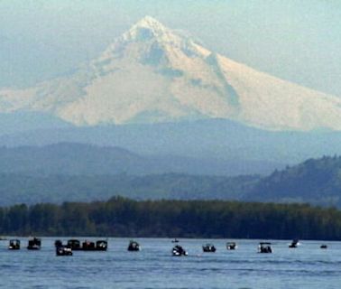 Limited Columbia salmon fishing reopening for anglers