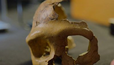 Así se ve el rostro reconstruido de una mujer neandertal; su cráneo fue hallado en Irak