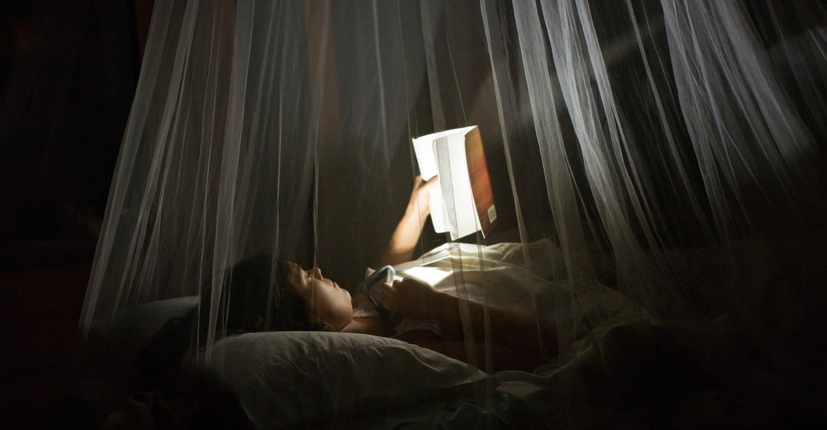 Seven Books to Read When Insomnia Strikes