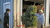 Here's where to buy a Christmas tree in Wayne, Holmes, Stark, surrounding counties