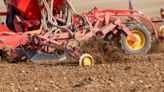 What to consider if tempted to drill winter wheat early - Farmers Weekly