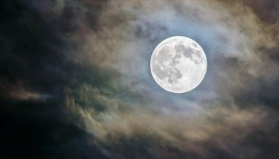 Luna de Flores: ¿La viste? Es el fenómeno astronómico de mayo