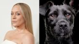 ‘I’m annoying, to some degree’: New York’s dog owners debate Chloë Sevigny’s anti-pup take