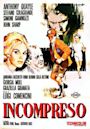 Misunderstood (1966 film)