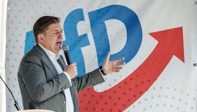 德醜聞纏身歐洲議員 遭極右派政黨切割