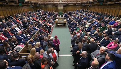 'Traitor, piece of s***, horrible excuse of a woman': New MPs fear attacks after receiving hundreds of abusive messages