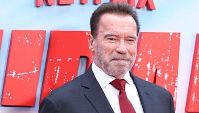 Arnold Schwarzenegger Allegedly Asked Tabloid Exec to Bury Negative Stories About Him Ahead of Governor Race