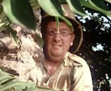 Don Estelle