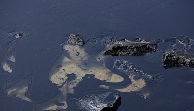 Singapore rushes to clean up major oil spill on southern coastline after shipping accident