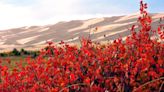 11 fiery shots of fall foliage around the US