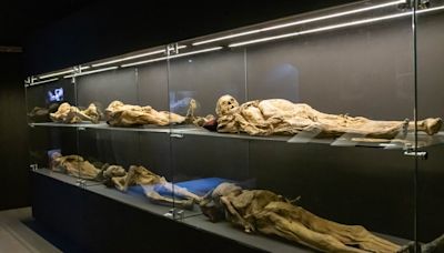 Up in arms: Mexican archaeological bureau denounces damage to at least one mummy in Guanajuato’s famous museum