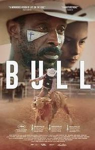 Bull (2019 film)