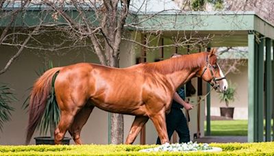 Justify Heightens European Interest in Keeneland Sept.