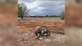 Demolition of Return to Nature Funeral Home complete