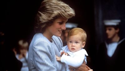 New Revelations About Princess Diana, Rumours On Harry's "Biological Father"