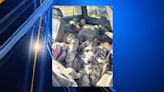 Traffic stop leads border agents to stash house; 18 migrants, 2 smugglers arrested