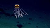 The benefits and risks of deep-sea exploration