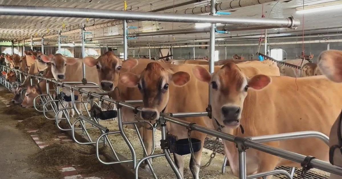 A five-generation family farm in Beaver County is on Pennsylvania's ice cream trail