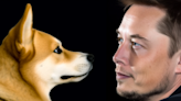 Could Elon Musk help the Dogecoin cryptocurrency surge to a $1 value?