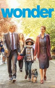 Wonder (film)