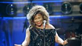 Essay: A mega-fan's appreciation for Tina Turner's limitless energy and lessons of survival