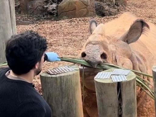 Julinho Casares mostra imagens exclusivas de filhote de onça no Hoje em Dia desta sexta (19)