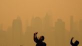 Wildfire smoke has given New York the world's worst air quality. Californians have some tips