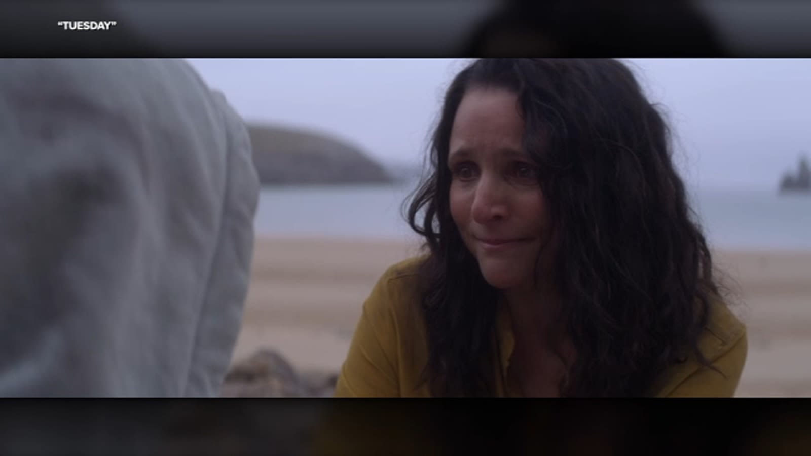 Emmy-winner Julia Louis-Dreyfus takes dramatic turn with new mother-daughter film 'Tuesday'