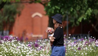 Met Office verdict on how long hot weather will last in Manchester